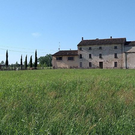 B&B Castel Goffredo San P 3 Εξωτερικό φωτογραφία