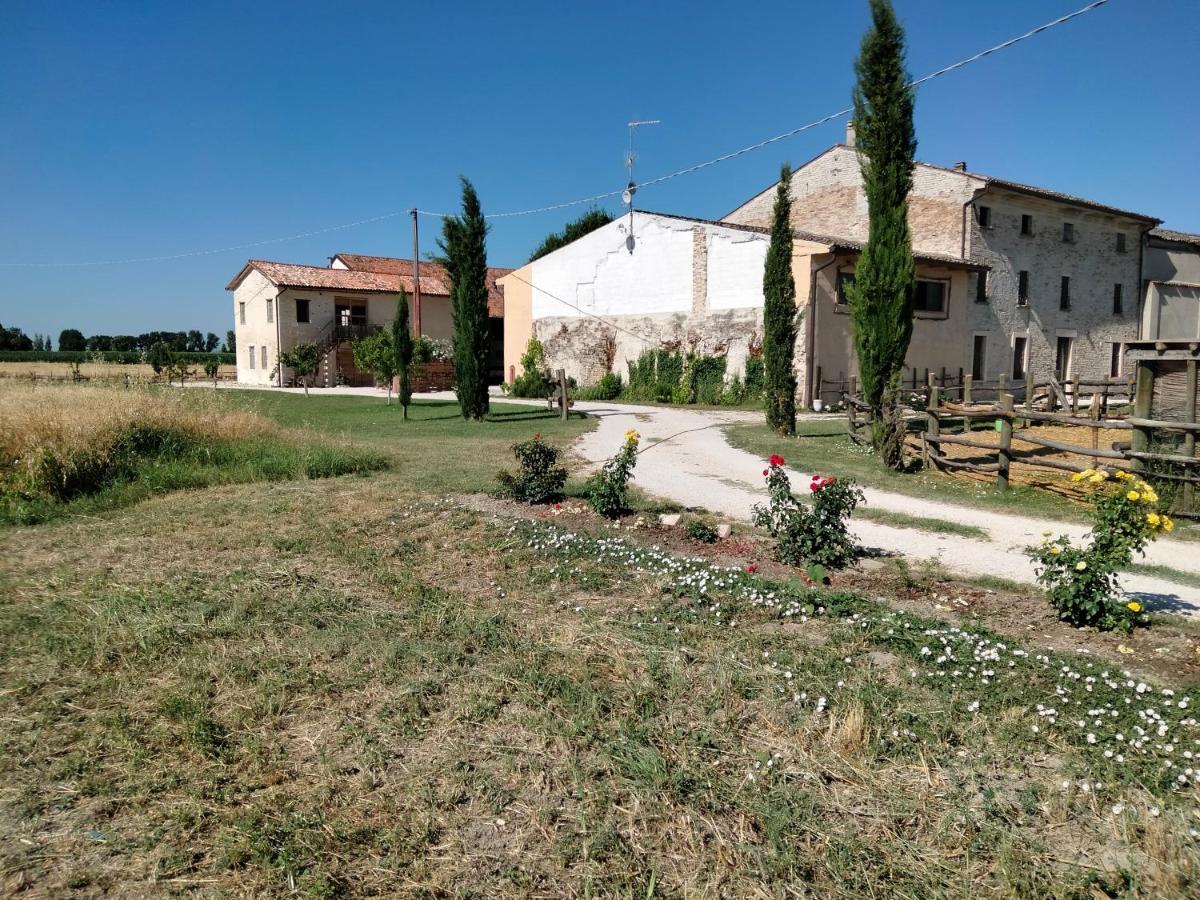 B&B Castel Goffredo San P 3 Εξωτερικό φωτογραφία