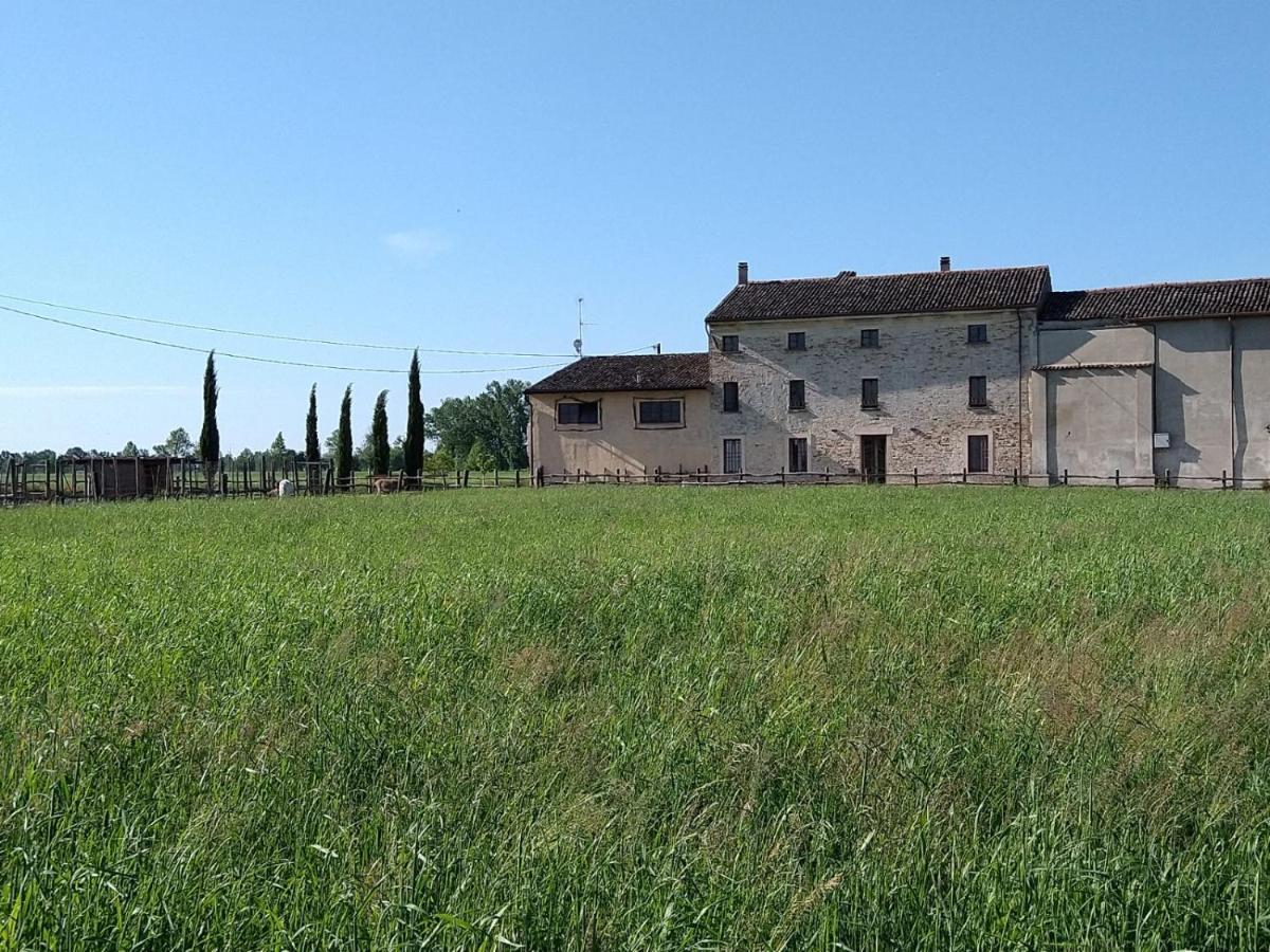 B&B Castel Goffredo San P 3 Εξωτερικό φωτογραφία