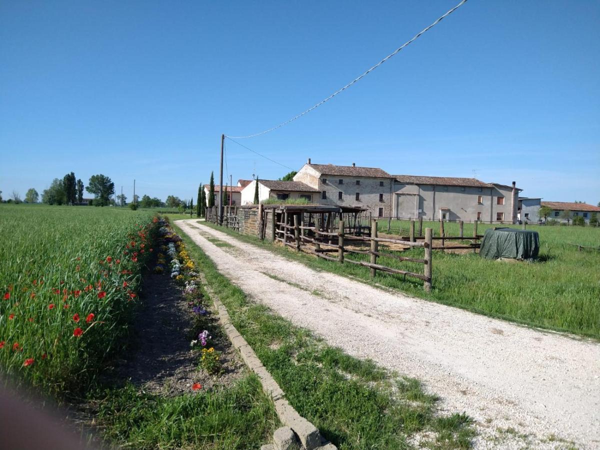 B&B Castel Goffredo San P 3 Εξωτερικό φωτογραφία