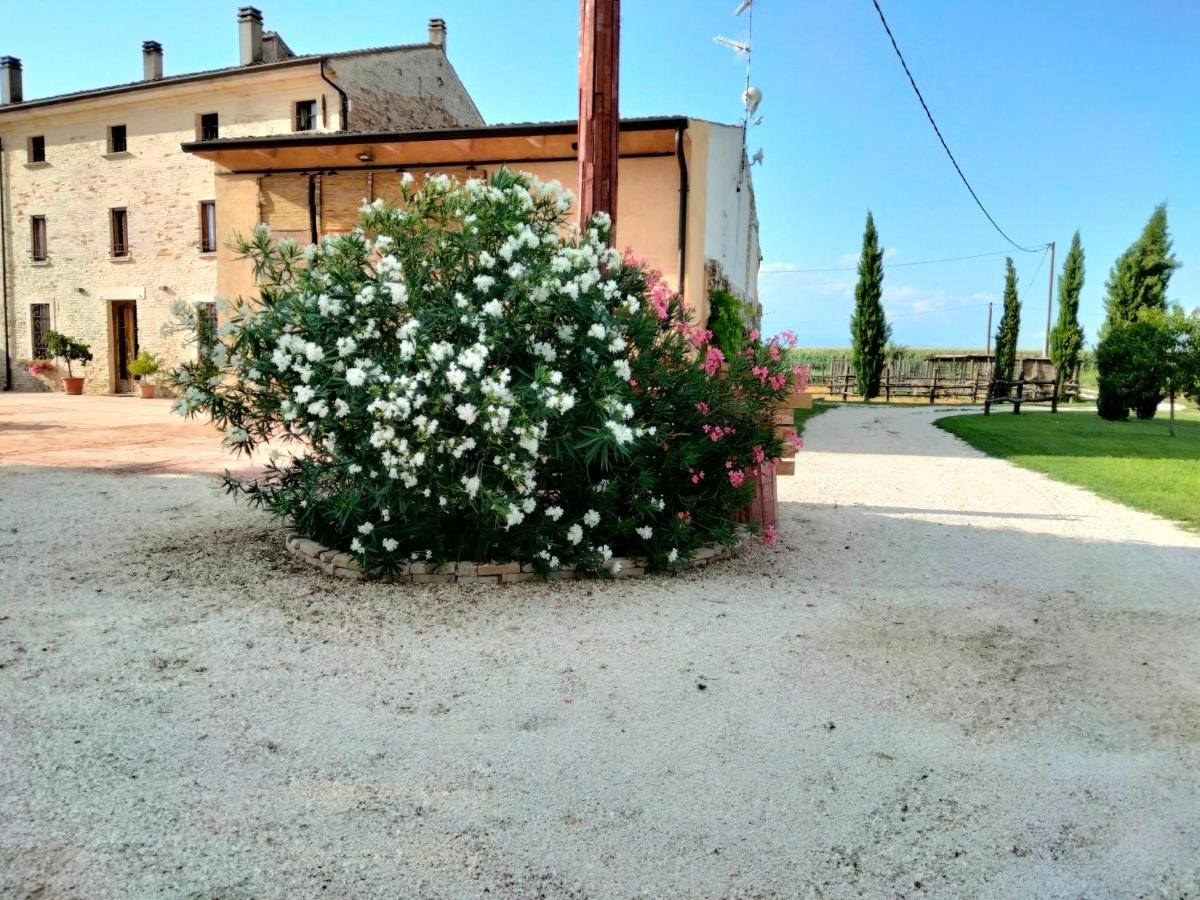 B&B Castel Goffredo San P 3 Εξωτερικό φωτογραφία