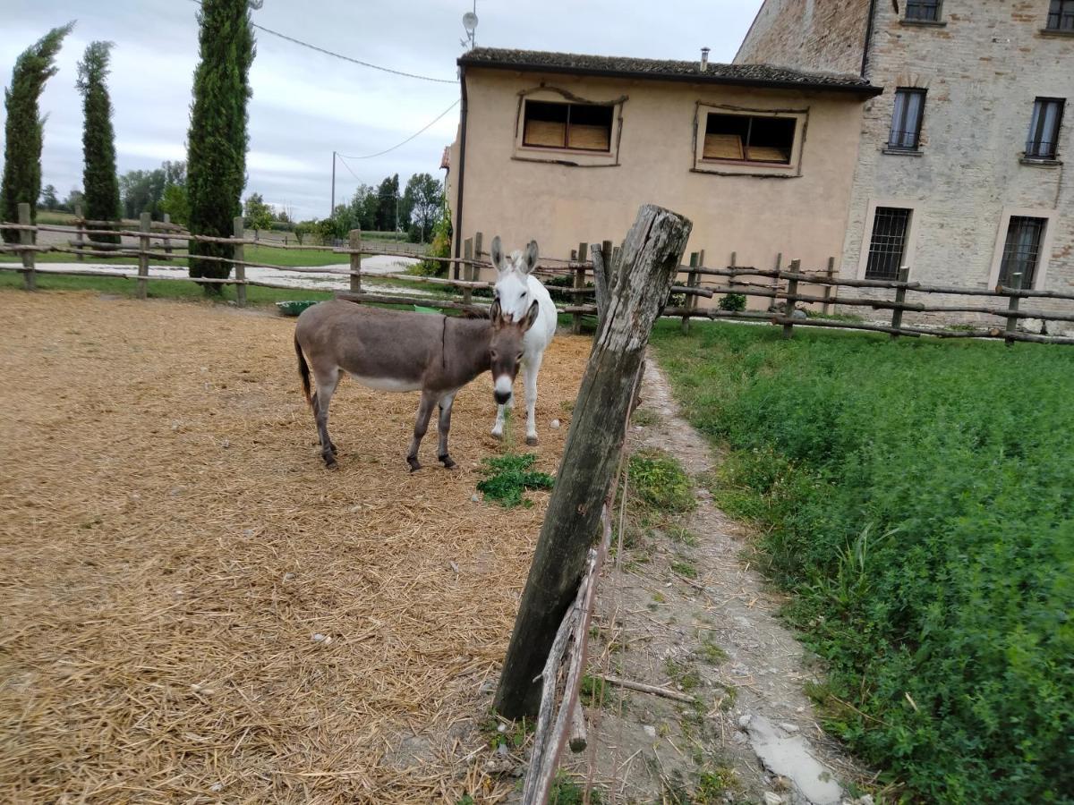 B&B Castel Goffredo San P 3 Εξωτερικό φωτογραφία
