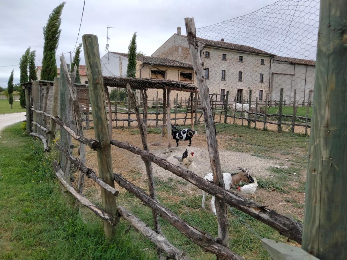 B&B Castel Goffredo San P 3 Εξωτερικό φωτογραφία